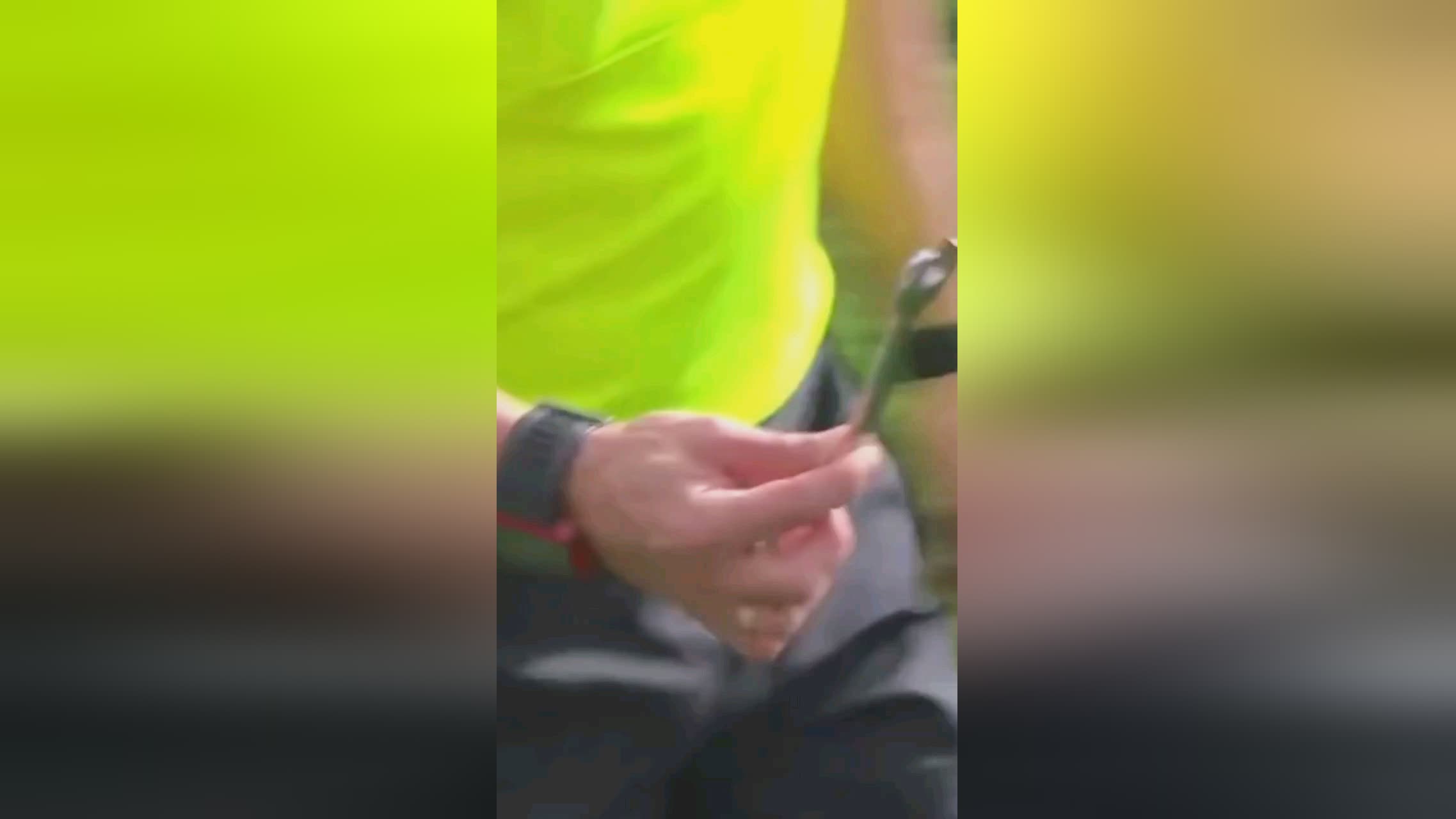 的分歧