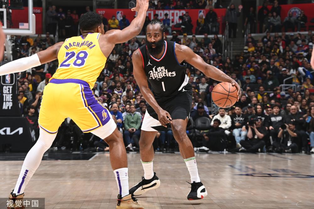 森林狼有6 森林狼有6