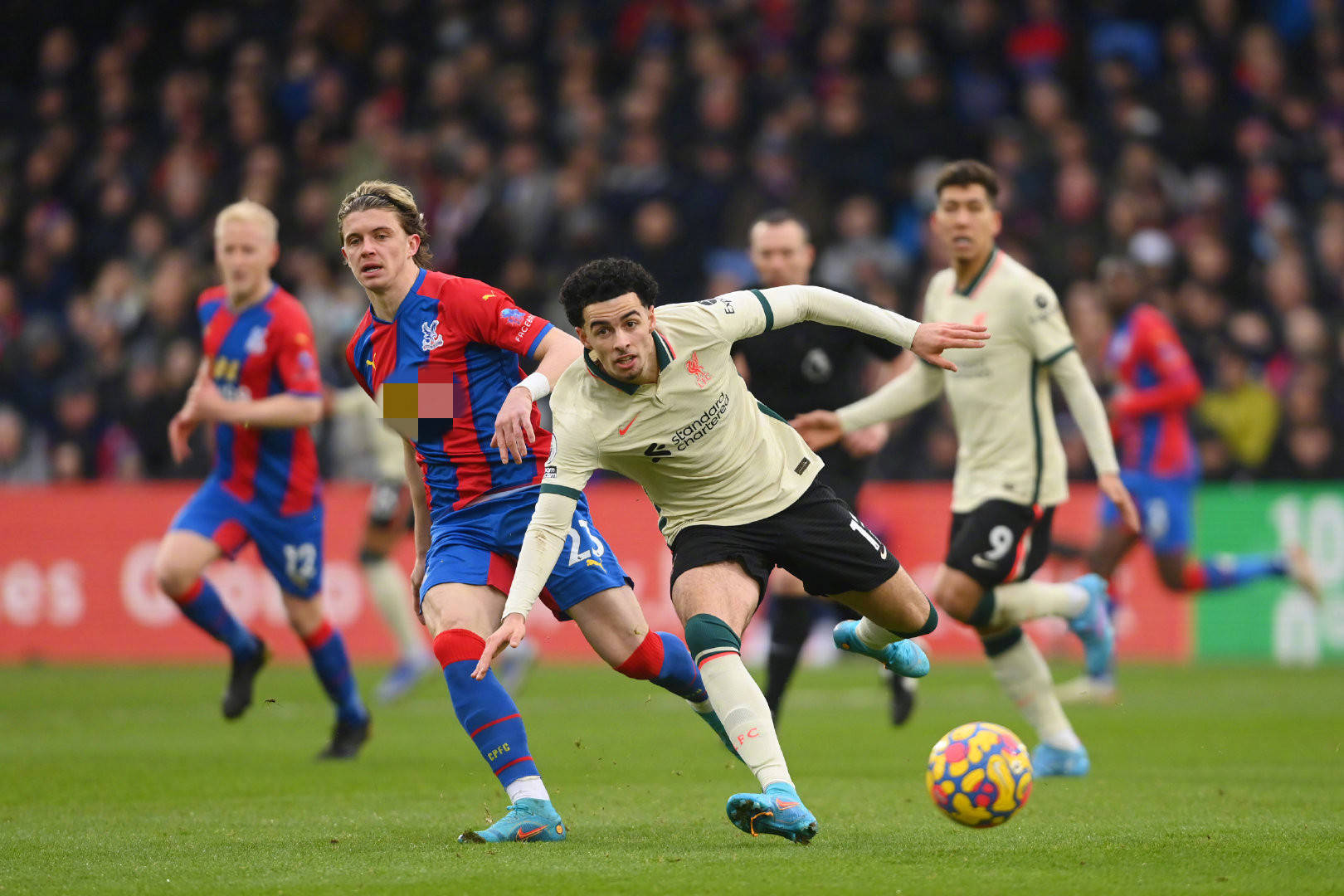 体上的热度 体上的热度